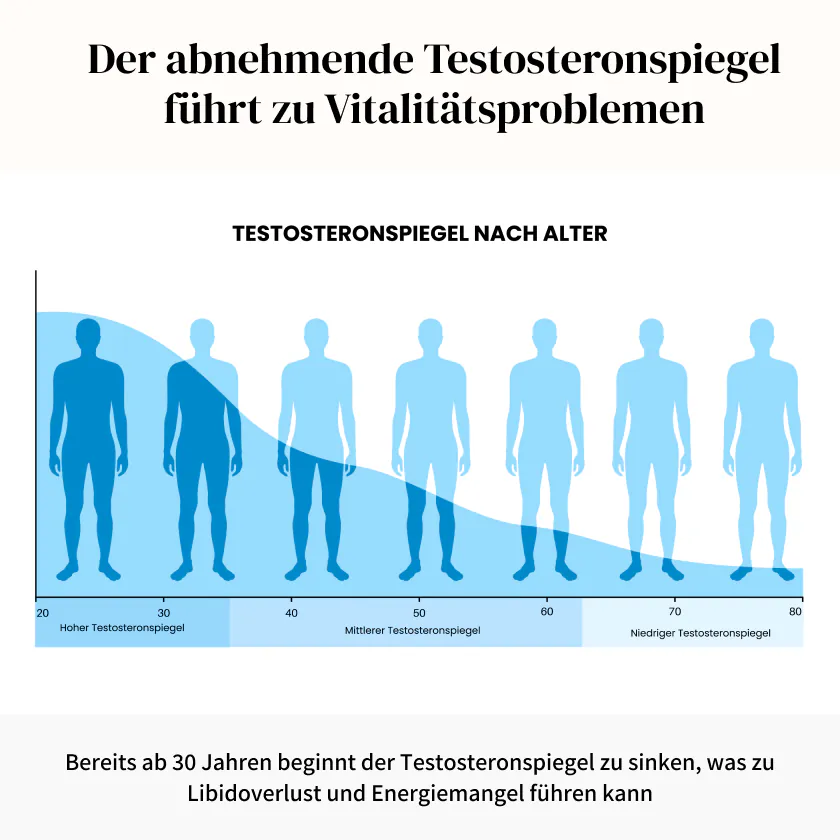 Der abnehmende Testosteronspiegel führt zu Vitalitätsproblemen – Testosteronspiegel nach Alter
