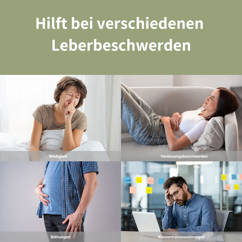 Hepa Kundenstimme