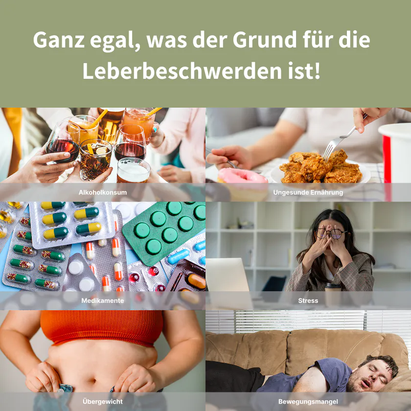 Hepa Kundenstimme