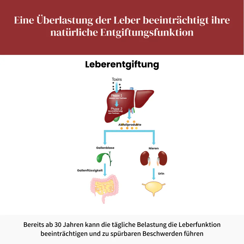 Hepa Produkt
