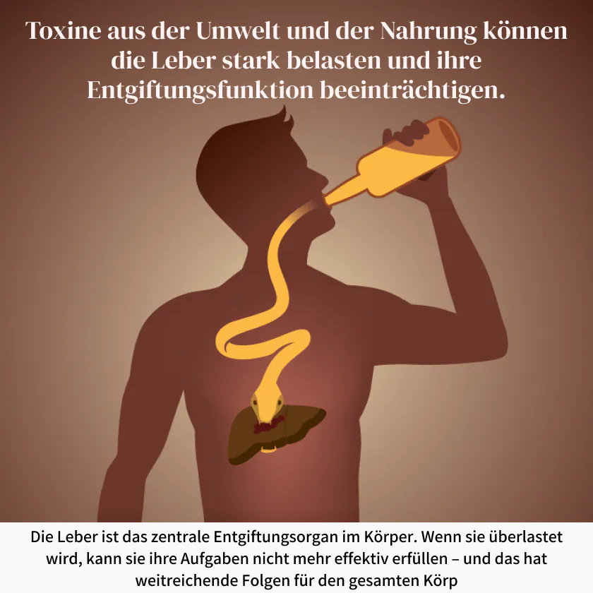 Hepa Kapseln Verpackung