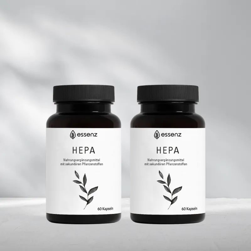 2 Packungen Hepa