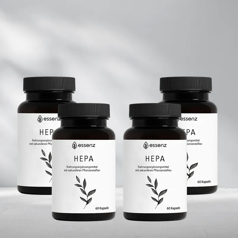 4 Packungen Hepa