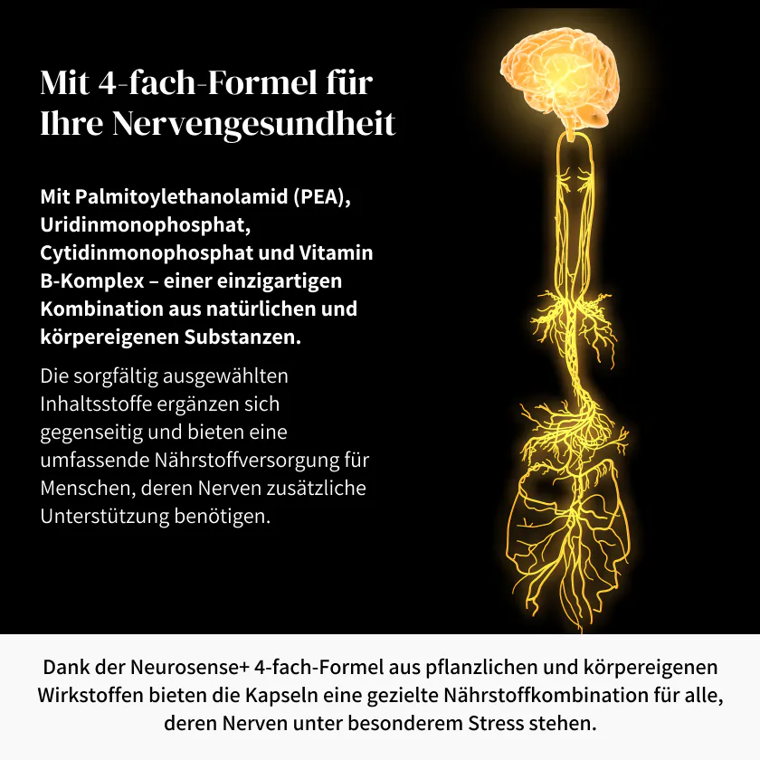 Neurosense 5